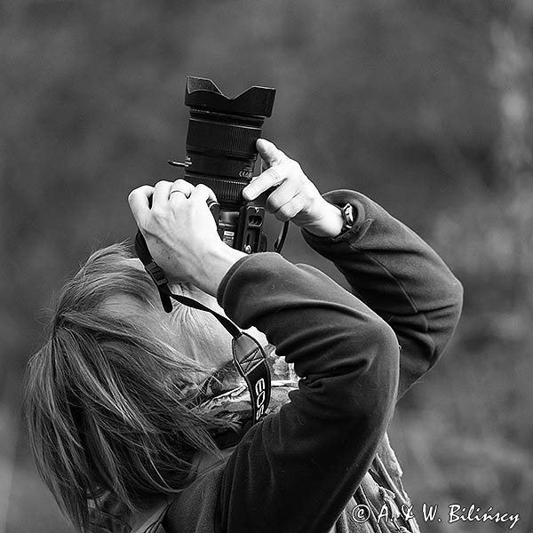 Fotograf przyrody przy pracy, Bieszczadzki Park Narodowy