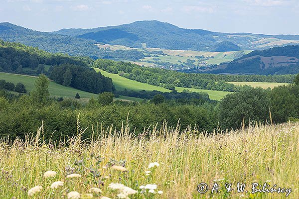 W Stężnicy, łaka i panorama z widokiem na Baligród