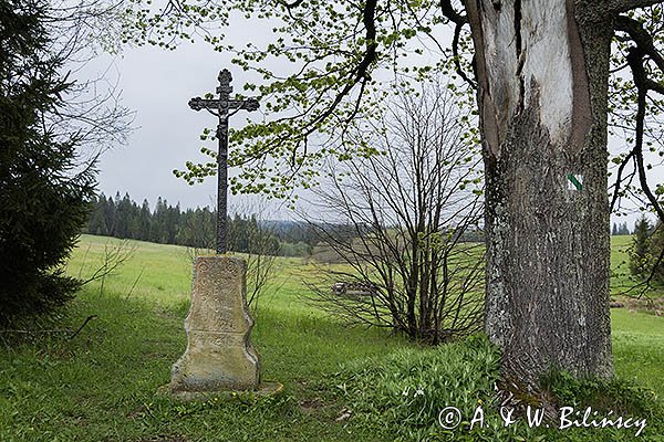 Beniowa, kapliczka rodziny Batko, Bieszczady