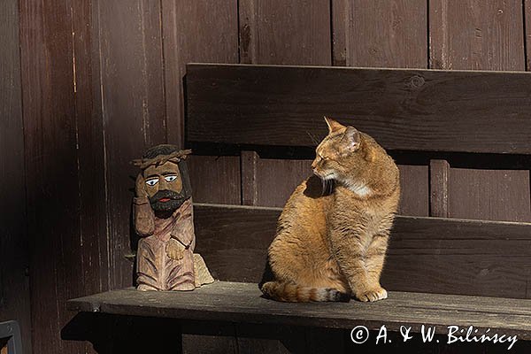 Kotka i Chrystus frasobliwy