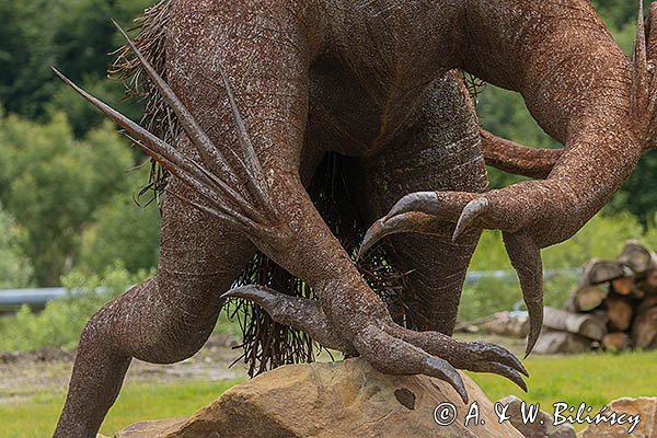 "Bies" autorstwa Biesart, Ustrzyki Dolne