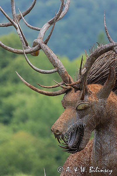 "Bies" autorstwa Biesart, Ustrzyki Dolne