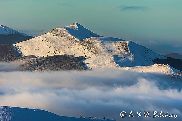 Połonina Caryńka, widok z Tarnicy, Bieszczadzki Park Narodowy