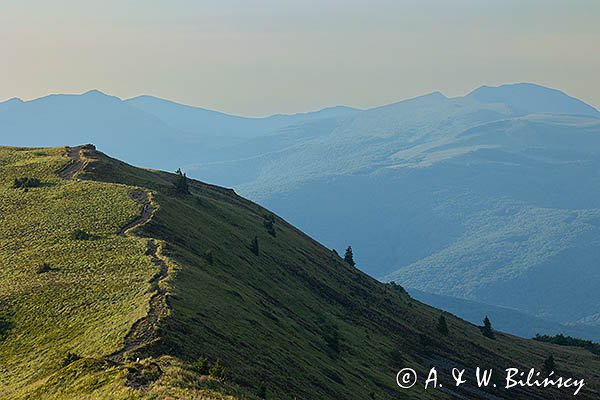 Na Połoninie Caryńskiej , Bieszczadzki Park Narodowy, w tle Szeroki Wierch, Tarnica