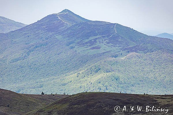 Połoniny Caryńska i Wetlińska widziane ze szlaku na Szeroki Wierch, Bieszczady