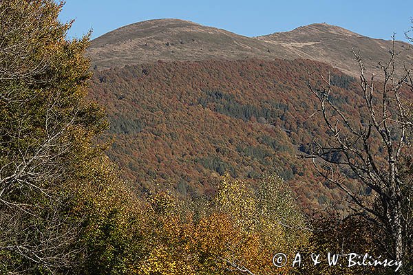 Połonina Caryńska, Bieszczady