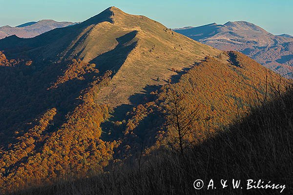 Połonina Caryńska, w tle Tarnica, Bieszczady