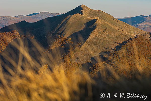 Połonina Caryńska, Bieszczady