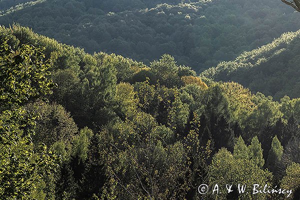 Caryńskie, Bieszczady